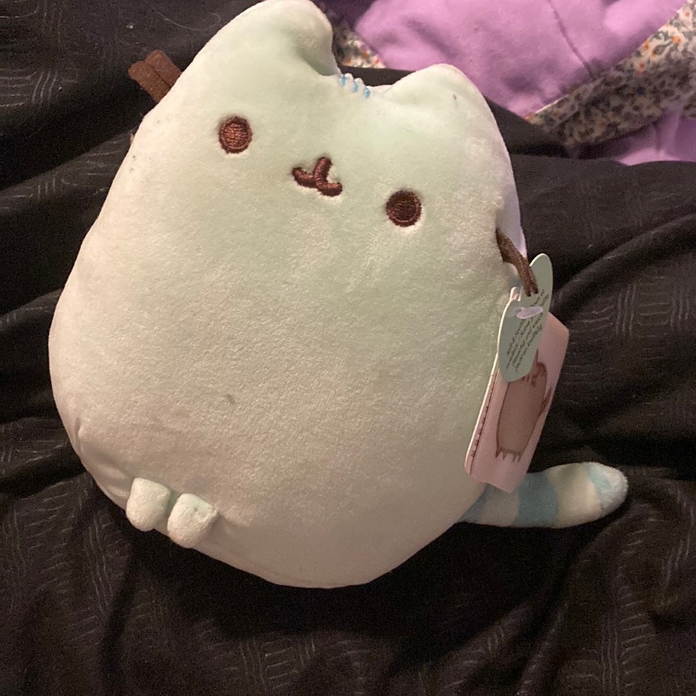 Mint/teal Pusheen plush